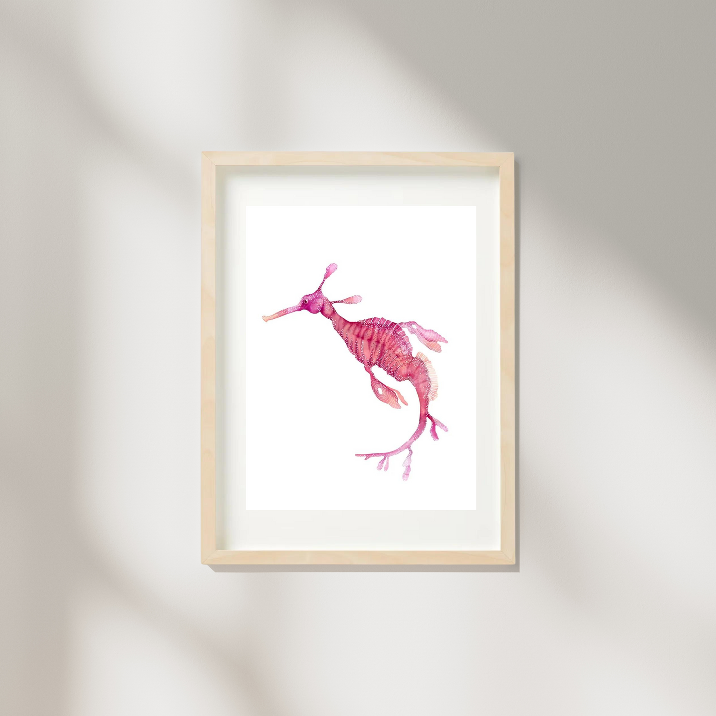 Pink Leafy Sea Dragon