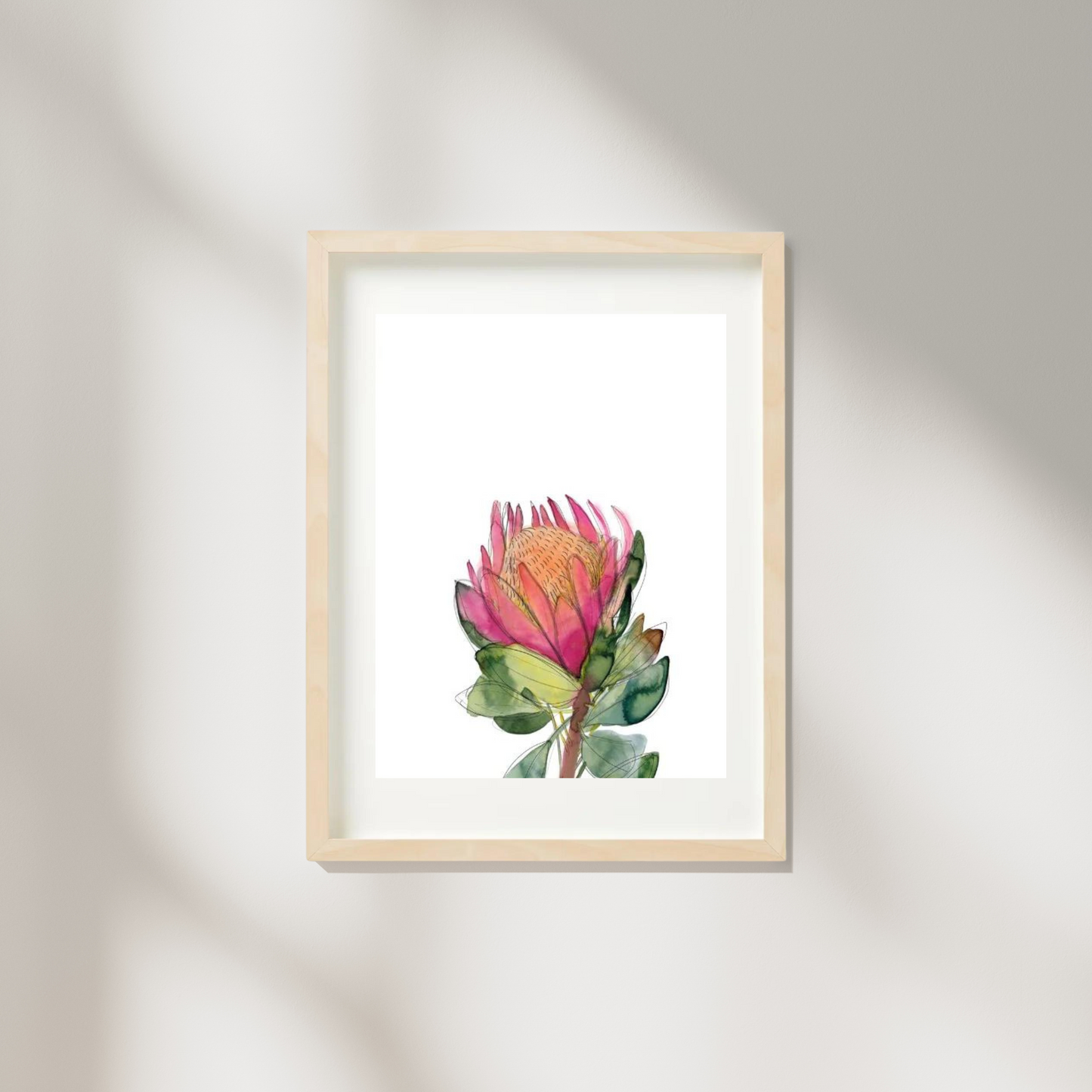 Watercolour Pink Banksia Flower Print