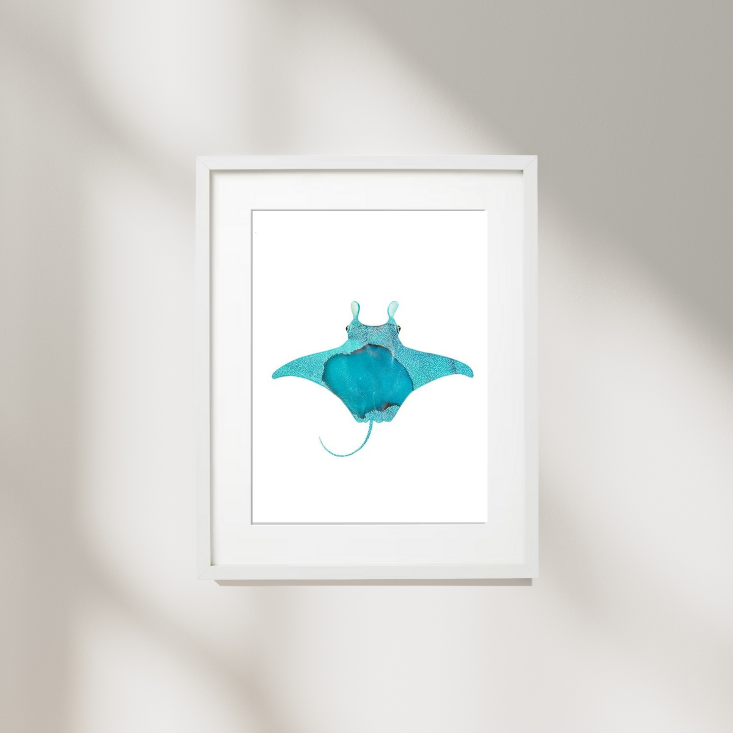 Blue Manta Ray