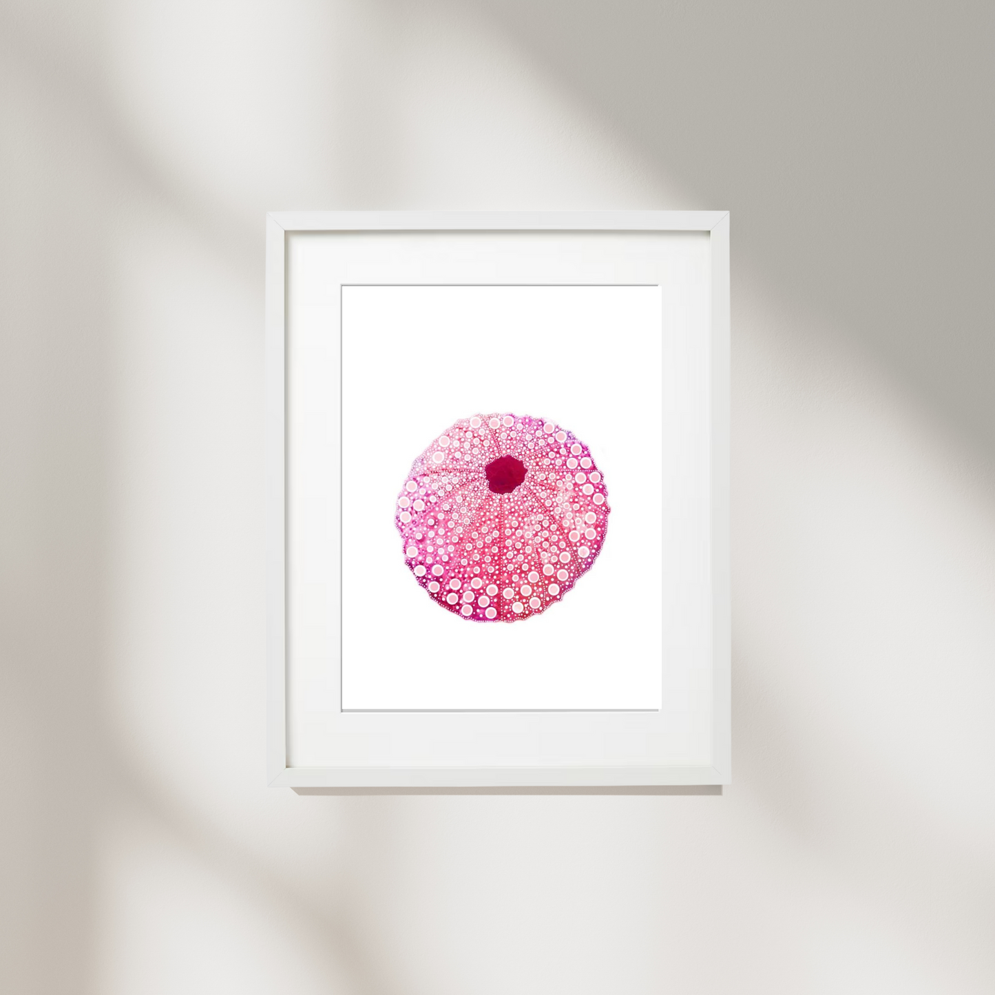 Pink Sea Urchin