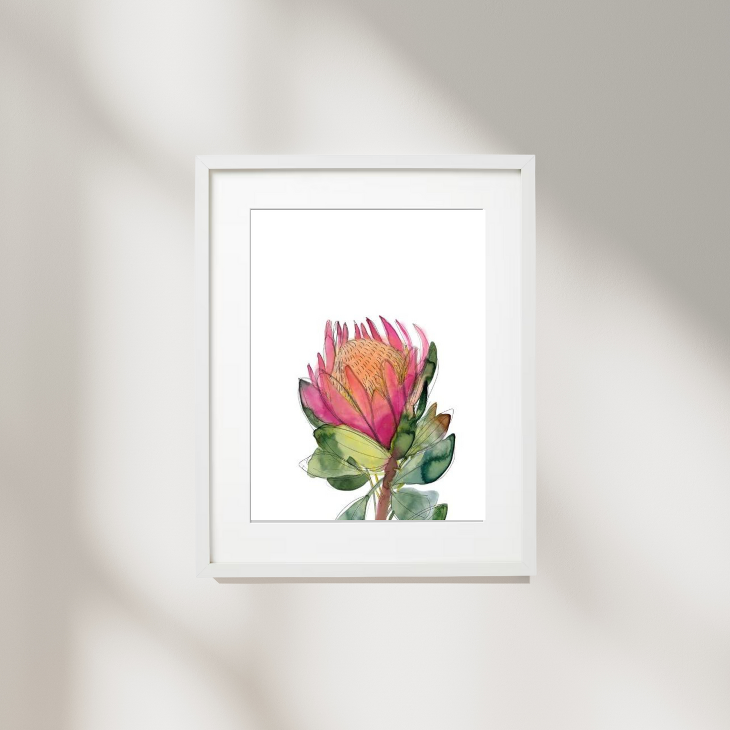 Watercolour Pink Banksia Flower Print