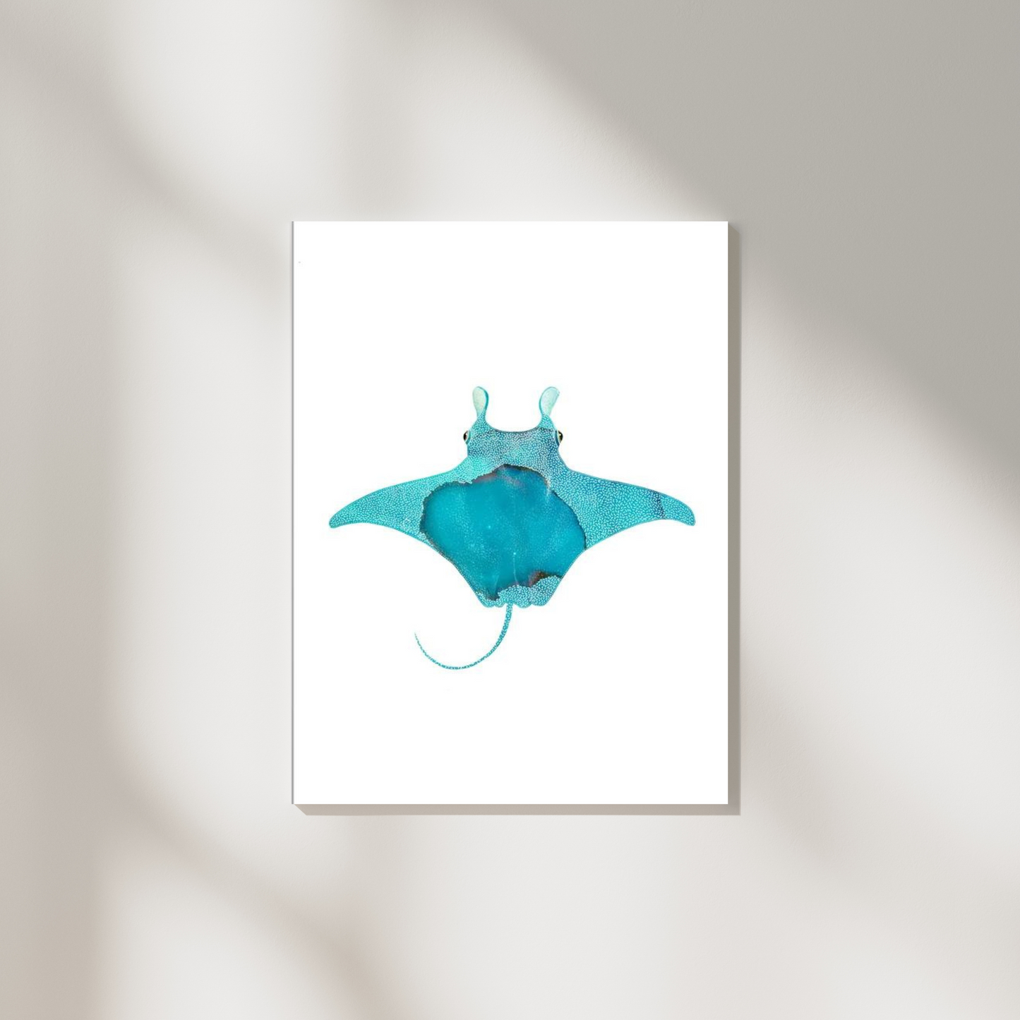 Blue Manta Ray