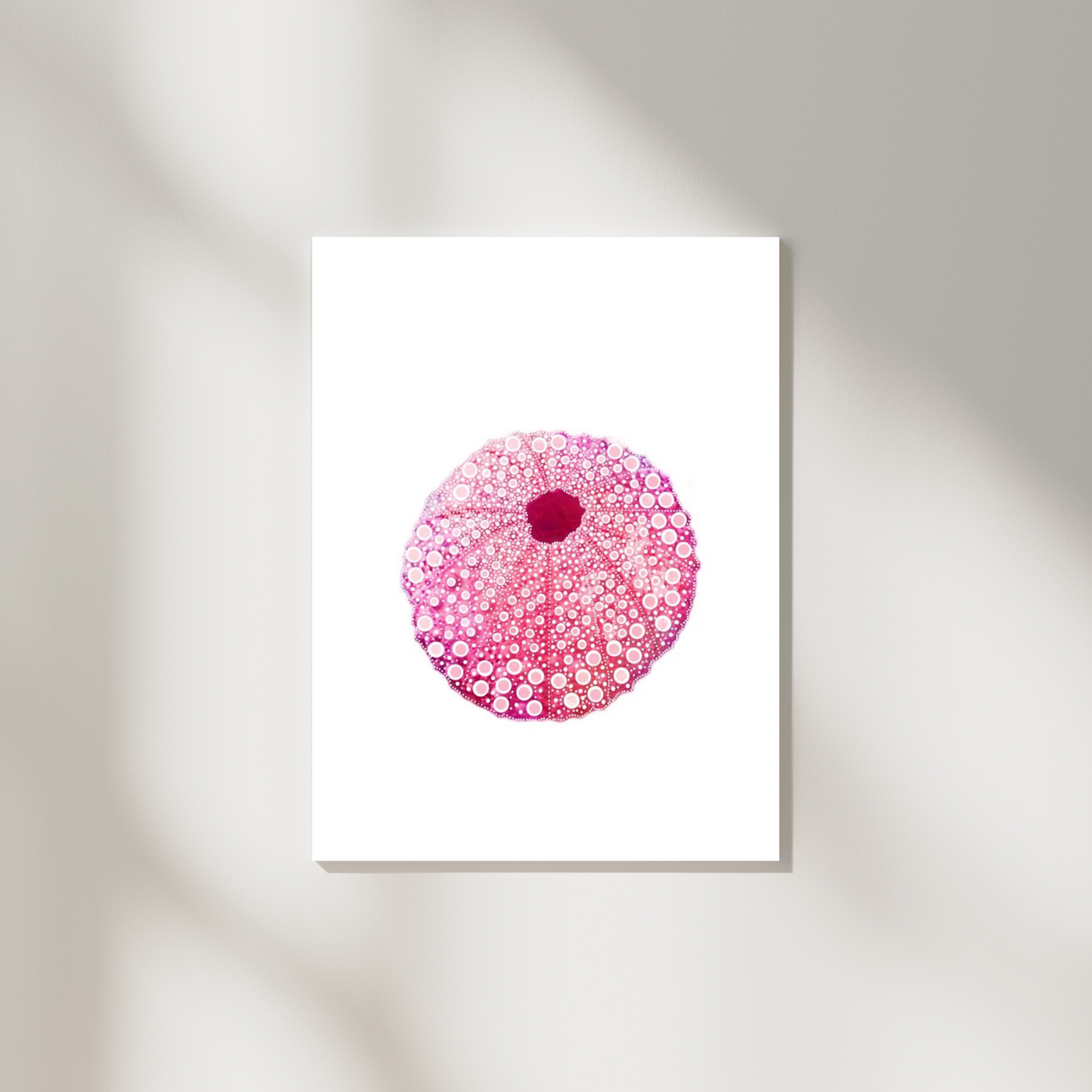 Pink Sea Urchin