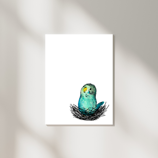 Budgie Framed Print