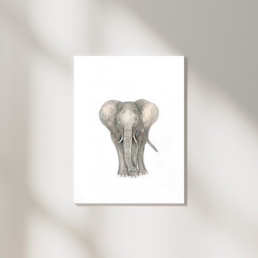 Elephant Framed Print