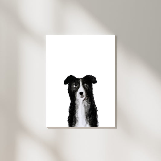 Border Collie Framed Print